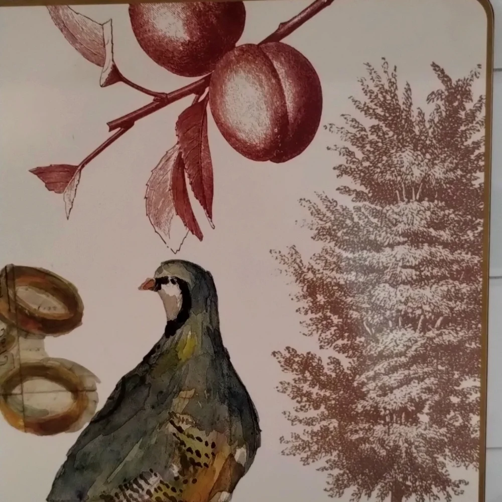 NWT- Williams-Sonoma Hard Place Mat